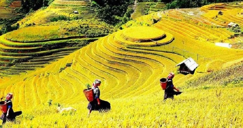 Half-Day Sapa Trekking Tour to Lao Chai & Ta Van